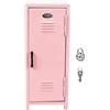 Generico Mini Locker - Scatola Portaoggetti Compatta in Metallo | Armadietto Organizer Resistente Ai, Armadietto Decorativo da Scrivania, Spazio Sicuro per Piccoli Oggetti per Bambini, Donne,