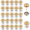 GORGECRAFT 30 set di Bottoni In Perla 12mm Champagne Rimovibili Senza Cuciture Facili Da Usare con Clip Spille Fisse Spille In Perla Bottoni Automatici Bottoni Decorativi Riutilizzabili per Abiti