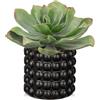 Hollyone Piante grasse finte in vaso nero a bolle, 21 cm, Echeveria artificiale smerigliata, piante finte per interni, decorazione per casa, scrivania, davanzale, bagno, decorazioni per mensole