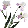 BQEE Iris - Fiori artificiali, 3 fiori di iris a stelo lungo, per composizioni di fiori finti e per matrimoni, decorazione per bouquet da sposa (stoffa A-rosa)