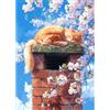 MEIYUDA Diamond Painting Gattino addormentato Animale, 5D Diamond Painting Kit Completo Gattino addormentato Animale, Pittura Diamante Kit Artigianale Per La Decorazione Della Parete Di Casa 30x40cm