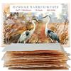 Wanderings Carta per Acquerello Spessa Fatta a Mano con Bordo Irregolare - 28×43 cm - 500 GSM - Carta Avorio Pressata a Freddo per Tecniche Miste in Cotone Riciclato - 15 Fogli Sfusi