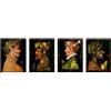 LuxHomeDecor Quadri Giuseppe ARCIMBOLDO 4 Pezzi 40x30 cm Stampa su Tela con Telaio in Legno Arte arredo