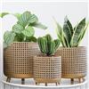 JHY DESIGN Set da 3 vasi decorativi in metallo per piante e fiori con design a cavo, Grandi fioriere per interni ed esterni, giardino, casa, balcone, ringhiera, recinzione (Oro)