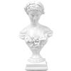 Norrclp Statua greca della dea di Venere, busto classico della testa romana della mitologia greca, scultura per soggiorno, decorazione per mensola della casa (Venere, 21,8 cm)