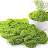 Lxoraziy 150g Muschio Finto per Decorazioni, Muschio Stabilizzato, Muschio Vegetale Finto in Nylon, per Composizioni Floreali, Bricolage, Verde Chiaro