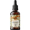 Ollywell Barista Mushroom Drops Classic - Estratto di funghi - Mix di adattogeni - Supporto alla concentrazione e alle difese immunitarie - Tintura da 50 ml - Vegano - 100% EU (50 ml, Senza aroma)