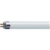 Philips - Lampada fluorescente TL5, 35 Watt, luce bianca naturale (865)