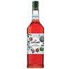Giffard Sciroppo all' Anguria 100 Cl Giffard