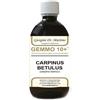 Gemmo 10+ Carpino Bianco 500 Ml Liquido Analcolico ml Soluzione orale