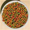 NATURAVIVA BASSANO Tarta PRO-Energy alimento vegetale energetico per Tartarughe terrestri Senza proteine Animali, Speciale per Tartarughe in Crescita (250 gr)
