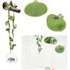 Dnoifne Kit di accessori per terrario ragno padella - nascondiglio palla di vetro, ramo artificiale magnetico e 2 piattaforme verdi - decorazione habitat per foschi