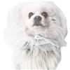 Generico Cono Per La Testa Anti-ingestione Del Cane - Protettore In Morbida Rete Traspirante | Muso Da Cucciolo | Copertura Per Maschera Anti-mangiamento, Bavaglino In Rete, Protezione Per La Camminata