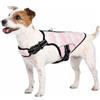 PUMYPOREITY Gilet Di Raffreddamento Evaporativo Per Cani, Pettorina Rinfrescante E Giacca Traspirante Ideale Per Attività All'aperto Durante L'estate (Rosa, M)