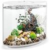 biOrb Loop 30 LED Aquarium, 30 litri, bianco - set completo per acquario con sistema di filtraggio brevettato, vasca in acrilico