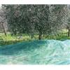 Ironware RETE OLIVE ANTISPINA MT. 8X12