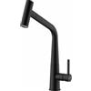 Franke Icon - 115.0625.190 Miscelatore Cucina da Incasso Monocomando con doccia estraibile doppio getto e canna girevole Black matt