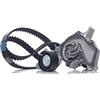 MAGNETI MARELLI 132011160041 Kit cinghia distribuzione pompa acqua N° denti: 117 22 mm Compatibilità con FORD Fiesta Mk5 Hatchback JH1, JD1, JH3, JD3 Focus II Hatchback DA, HCP, DP Focus C-Max DM2