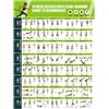 Generic Tabella Workout 42,8x57,4 cm Guida Stretching Con Fasce Elastiche