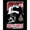 Komar Poster da parete Star Wars Darth Vader The Chosen One - Dimensioni 40 x 50 cm - Camera dei bambini