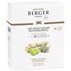 Maison Berger Paris Diffuseur Voiture Recharge Terre Sauvage 02x17 g - Profumo per Automobile