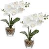 Arborus 2 orchidee artificiali bianche in vaso di vetro, piccole orchidee finte con vaso boho, decorazione per matrimoni, centrotavola, decorazione per la casa, soggiorno, bagno