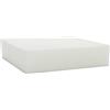SaRani Imbottitura per Cuscini Spessore Sedie Gommapiuma Coprisedie Morbida 30 kg/mc (50 x 50 x 10 cm)