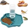 Cerioll Distributore Di Acqua Per Rettili, Ciotola D'acqua Per Tartarughe, Abbeveratoio Per Mangiatoia 2 In 1 Ciotola Di Rettili, Adatta Per L'alimentazione Di Piccoli Rettili Come Tartarughe, Lucertole