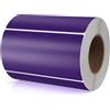 Meitaat Adesivi rettangolari viola 100 x 50 mm Etichette autoadesive con codifica a colori Rotolo mobile rimovibile Confezione da 500