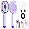 Generico Electric Spray Air Cushion Massage Comb, Electric Steam Brush For Hair, Rechargeable Detangling Scalp Massage Brush, Hair Brush With Water Spray (Purple)