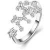 Clearine 12 Costellazione Zodiaco Zirconia cubica Anello Regolabile per Donne - Sagittario Oroscopo Stelle Astrologia