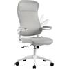 SENSE7 Revo Sedia da Ufficio Ergonomica - Poltrona Girevole Regolabile in Altezza con Schienale in Rete Traspirante, Ideale come Sedia da Gaming & per Home Office, Grigio