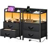 YOUDENOVA Comodino Camera da Letto, Set di 2 Comodini con Luci LED, Presa di Corrente e 2 Porte USB, ComodinI Moderno con 2 Cassetti in Tessuto e 2 Livelli, 30 x 40 x 62cm, Nero