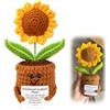 Bangbobi - Girasole Ispirazionale Regalo per Donne & Mamma, Lavorato a Maglia a Mano con Messaggio Motivazionale, Perfetto per Compleanno, San Valentino & Natale