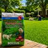 Semi per Prato verde, Tappeto erboso rustici particolarmente resistenti al calpestio e alla siccità. Veloce germinazione