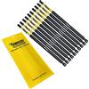 SabreCut 10 x SabreCut SCTX30152_10 152 mm T30 TX30 Set di punte per cacciavite a impatto magnetico Torx Heavy Duty compatibile con Dewalt Milwaukee Bosch Makita e altro