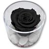 Premium-rose.com Box Tondo con Rosa Nera Stabilizzata e Marmo di Carrara, Idea Regalo Unica e Raffinata, Idea Regalo per lei, Natale, Cubo Rosa Nera, Fatta in Italia (Nera 1097)