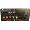 No Max 300W Scheda Amplificatore Bluetooth 12V 24V 220V Scheda Amplificatore S1502