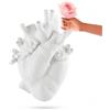 SELETTI LOVE IN BLOOM HUGE VASO IN RESINA 09924