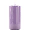 Cereria Di Giorgio Candela Cero Laccata Viola polvere 7x15 cm, 85h