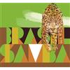 Brésil Samba (DVD) Multi-Artistes