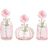 Nideen Set di 3 vasi di vetro piccoli per decorazione da tavolo, set di vasi decorativi per matrimoni, decorazione da tavolo (rosa)