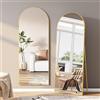 BHFFTHK Specchio a Figura Intera 162x53 cm,Specchio da Terra ad Arco con Specchio da Parete Grande con Cornice in Alluminio e vetro infrangibile,Appoggiare o Appendere per Soggiorno,Corridoio,Gold