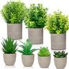 SACBRZZ Set di 7 Piantine Finte Decorative con Vasetto, Mini Piante Finte da Interno, Eucalipto e Piante Grasse, Pianta Finta da Interno per Decorazioni Casa in Salotto, Camera Letto o Ufficio