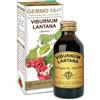 DR.GIORGINI SER-VIS Srl VIBURNO LIQ ANALCOLICO 100ML