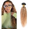 Zeslaerr T1B/27 Ombre Brown Color Curly Wave Parrucca Capelli Veri Bundles Extensions di Capelli Umani a Doppia Tessitura Unprocessed Virgin Bundles Morbidi e Silky per donne 20,5 cm