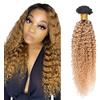 Zeslaerr T1B/27 Ombre Brown Color Curly Wave Parrucca Capelli Veri Bundles Extensions di Capelli Umani Doppia Tessitura Unprocessed Virgin Bundles Morbidi e Silky per donne 45,5 cm