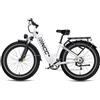 RINCC RN60 - Bicicletta elettrica per uomini e donne adulti, mountain bike elettrica per tutti i terreni, pneumatici grassi 26 x 4.0, telaio in lega di alluminio, batteria 48 V 20 Ah, autonomia