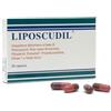 LIPOSCUDIL PIAM FARMACEUTICI SPA LIPOSCUDIL 30 CAPSULE - LIPOSCUDIL - 904931161