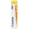 CEMON Srl Thuya occident 7ch 10ml gtt - CEMON - 800936890
